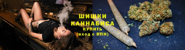 мяу мяу мука Новозыбков